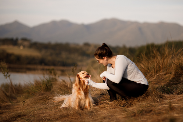 bezpečný vztah se psem